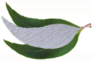 EcoStone Gum Leaf Paver Texture - Quantum Stone